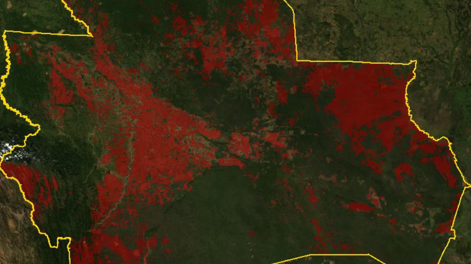 Forest fire time-series Bolivia